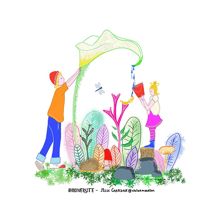 BIODIVERSITE_25x25_Basse Reso