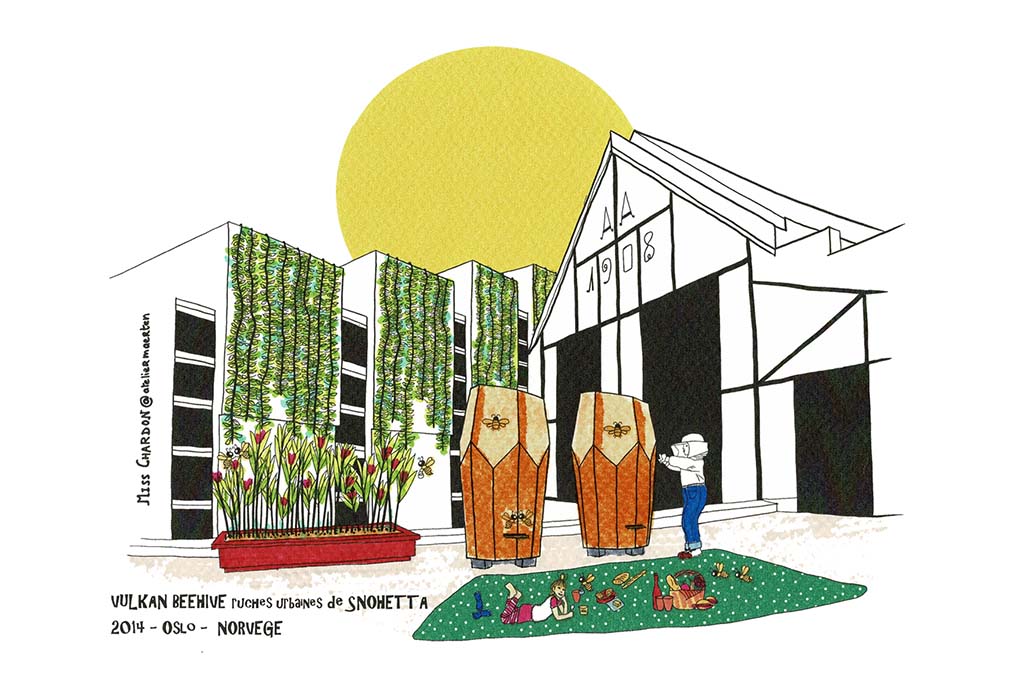 RUCHE URBAINE_10x15_B