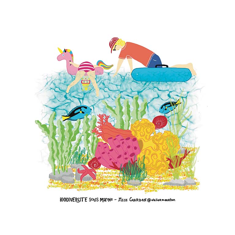 Biodiversité_Sous_Marine_25x25_BasseReso